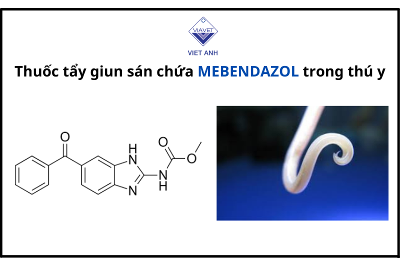 Thuốc tẩy giun sán mebendazol phổ biến trong thú y?