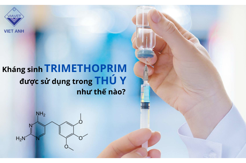 Kháng sinh trimethoprim được sử dụng trong thú y như thế nào?