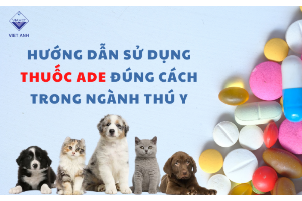 Hướng dẫn sử dụng Vitamin ADE đúng cách trong ngành thú y