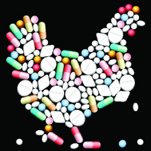 Thuốc kháng sinh trị bệnh gà

