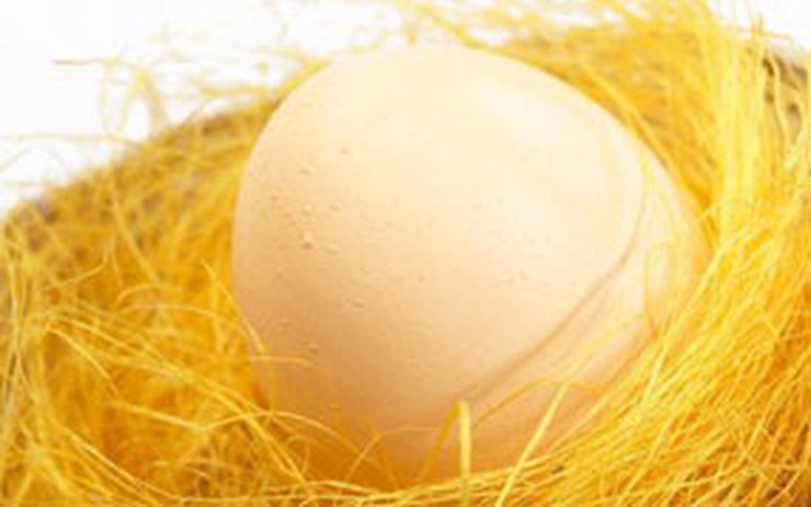 Sán lá ống dẫn trứng trên gà