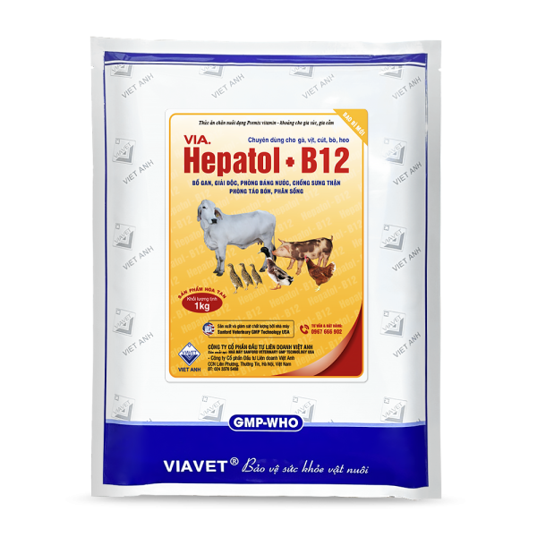 Via.Hepatol B12