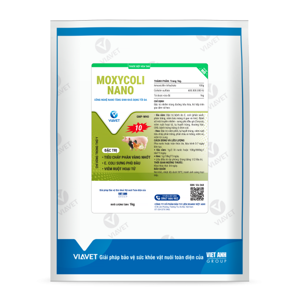 MOXYCOLI NANO 10 1kg